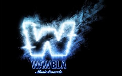 SUBMIT YOUR NOMINATIONS FOR THE WAWELA SPECIAL AWARDS CATEGORIES